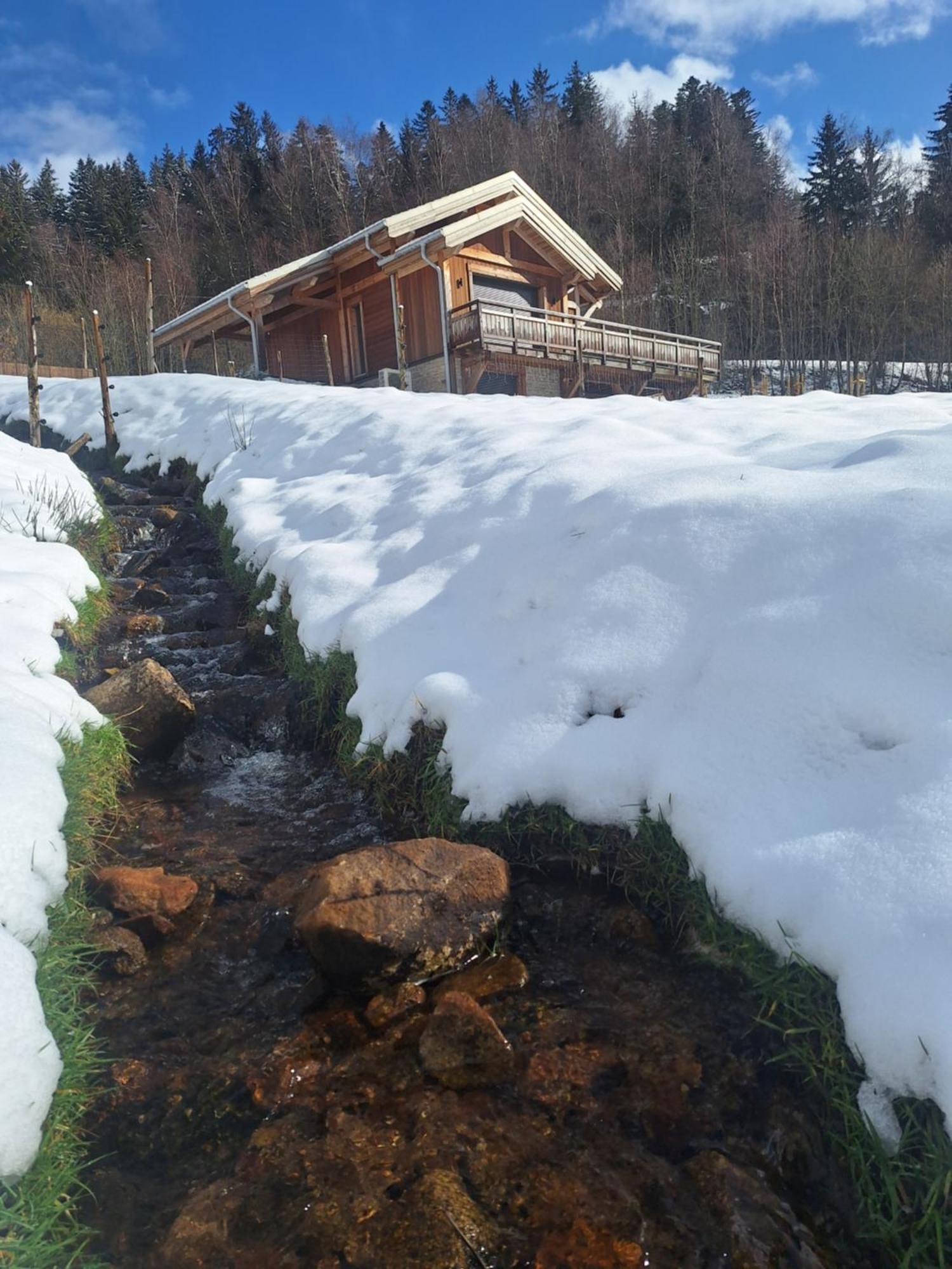 Chalet L'Appel De La Foret 제라르메르 외부 사진